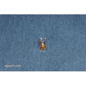 ブランド コピー  Polo Ralph Laurenカジュアルの定番 大特価新作限定 新作商品人気セールセーター