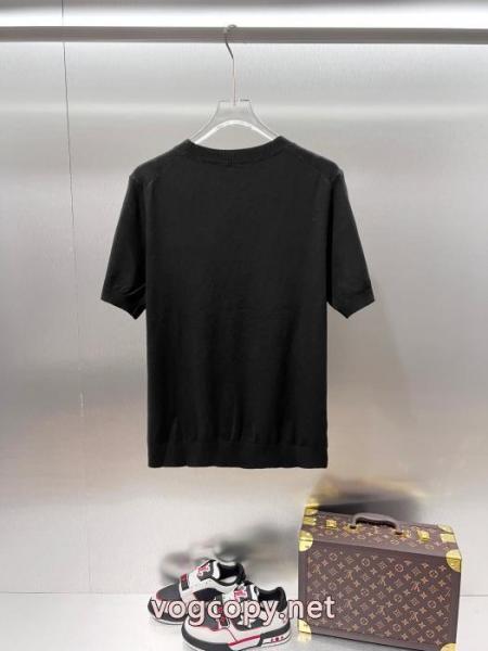 Polo Ralph Lauren目を惹く新作 肌触りの着心地が良く 人気定番新作半袖Tシャツブランド 通販店 1